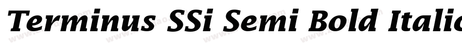 Terminus SSi Semi Bold Italic字体转换